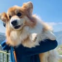 JHANGMING's GitHub Avatar